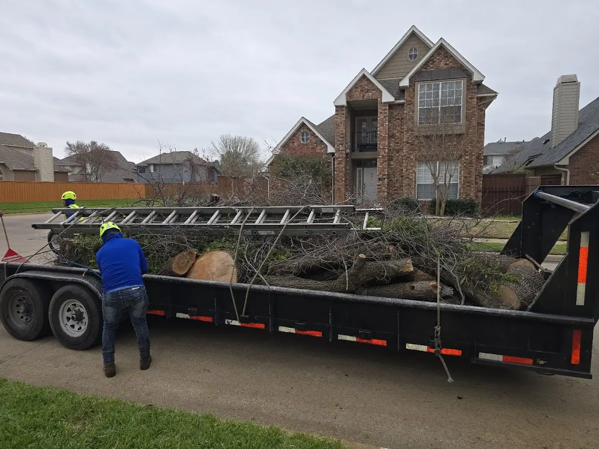 Expert Tree Fertilization with proper safety equipment in Schleswig